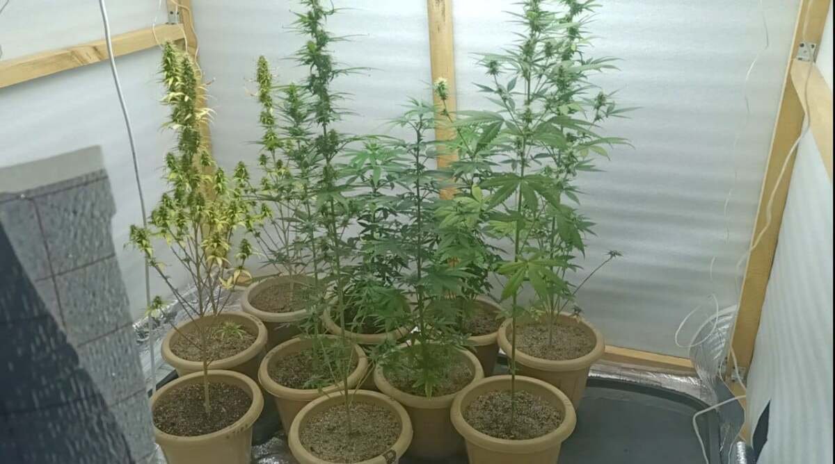 шкаф для выращивания марихуаны