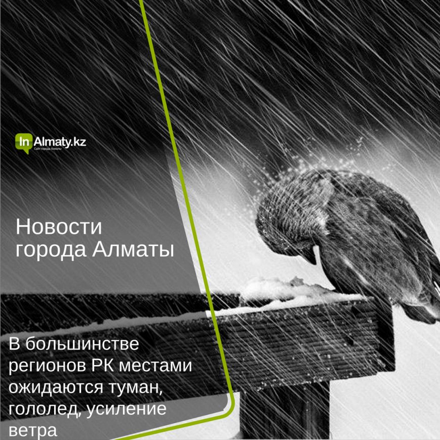 inAlmaty (13)